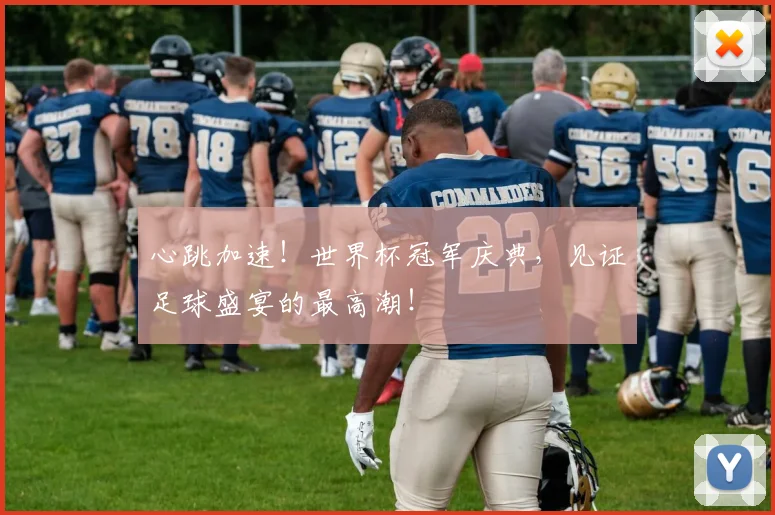 心跳加速！世界杯冠军庆典，见证足球盛宴的最高潮！